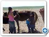 mongolian life
