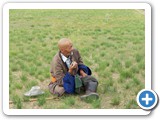 mongolian life