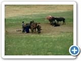 mongolian life