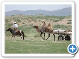 mongol-ahui-22