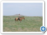 mongol-ahui-40