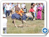mongolian-naadam-24
