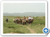 mongolian-naadam-26