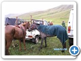 mongolian-naadam-89