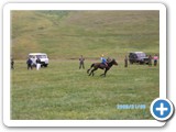 mongolian-naadam-91