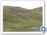 mongolian-nature-112