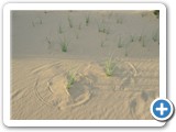 mongolian-nature-12