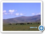mongolian-nature-69