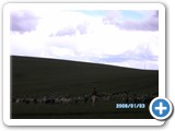 mongolian-nature-83