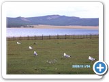 mongolian-nature-90